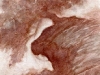 9_29_10_overhang