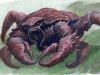 10_15_10_crabby