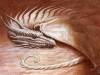 Restful Wyrm