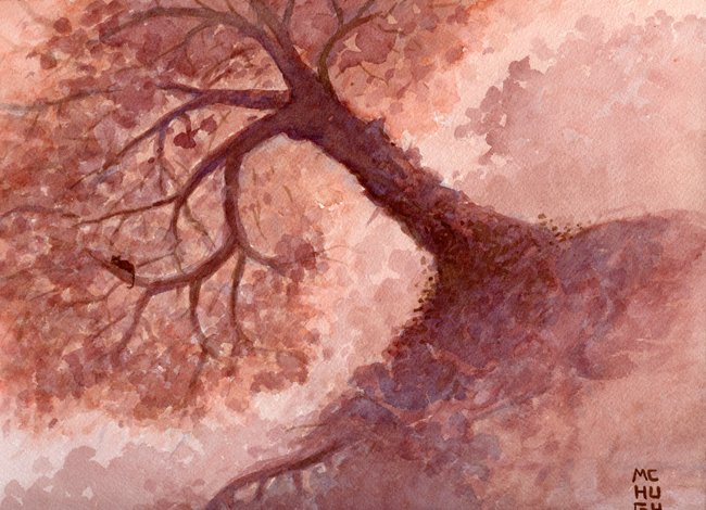 6_30_11_inthetree